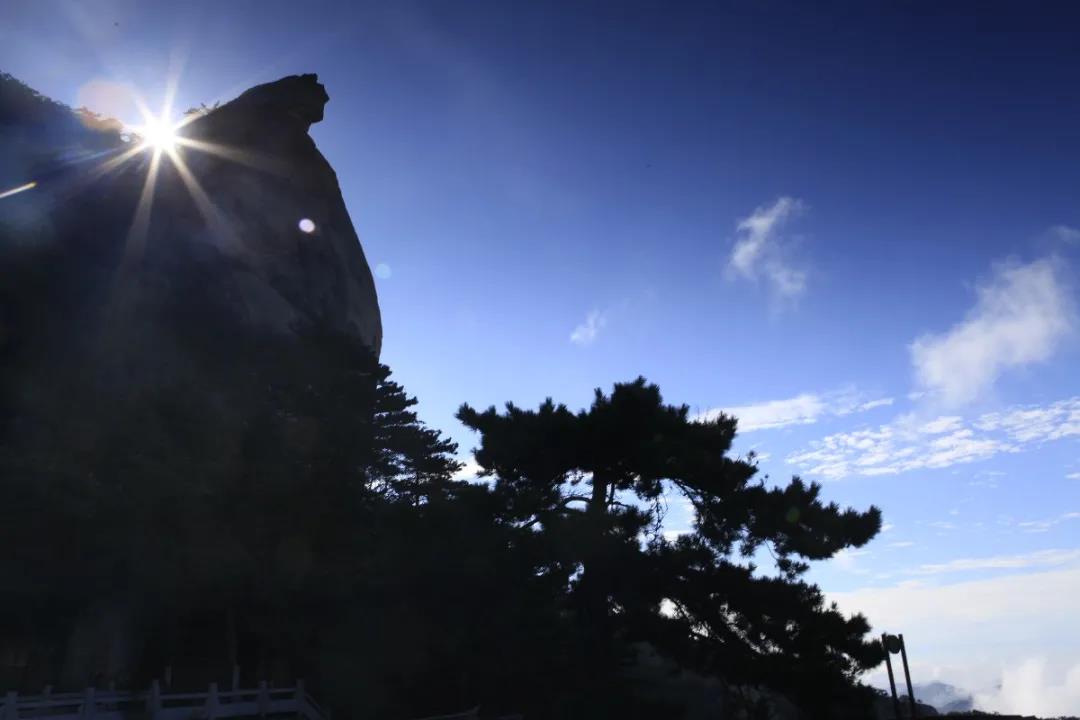 微信图片_20210423164518.jpg