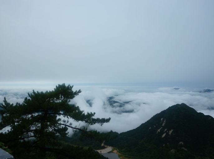 微信图片_20210425144518.png