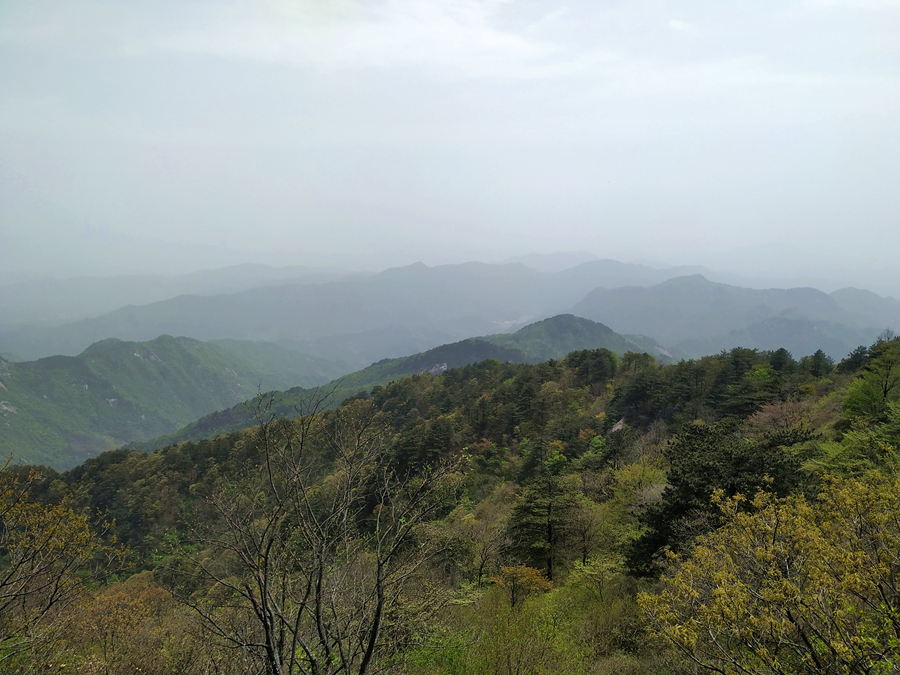 IMG_20210417_131715_副本_副本.png