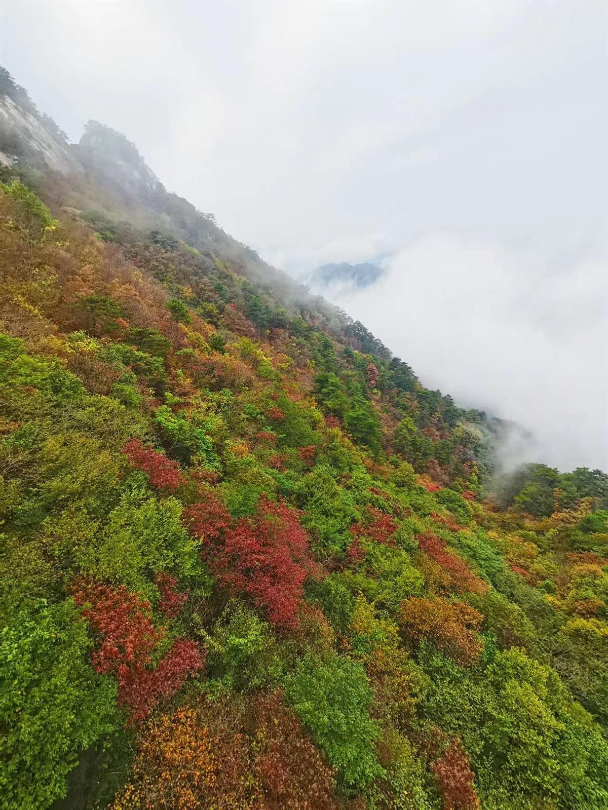 秋に亀峰山に登り,人は中流を描く