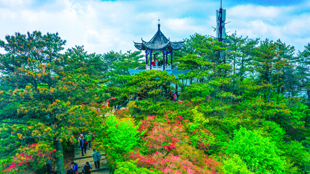 Free admission, special offer: Qingming Festival is a good season, and outings are just right!