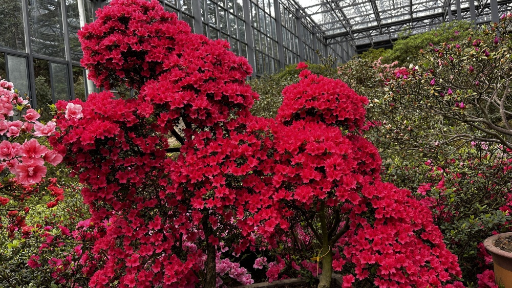 IMG_7819_副本.jpg