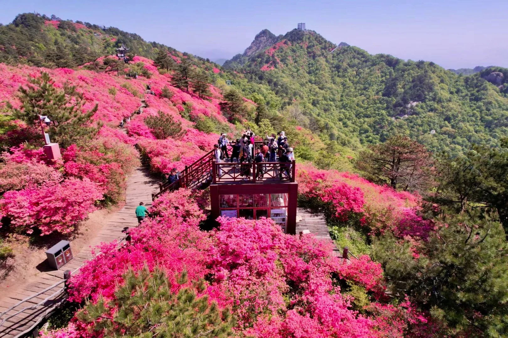 美炸了！感觉这里马上会成为五一赏花顶流！！！_7_A趣出发旅行_来自小红书网页版.jpg