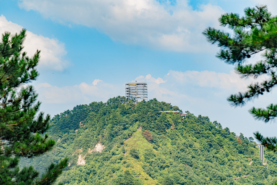 关于龟峰山景区恢复开园的公告