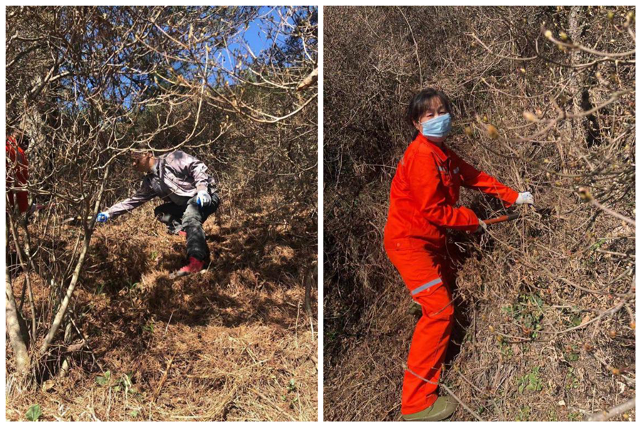 1615433451776174.png 图片1_副本_副本_副本.png