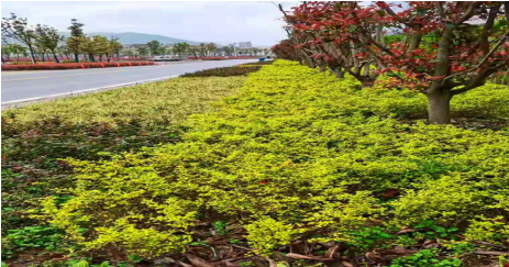 1618219632719049.png 微信截图_20210412173343.png