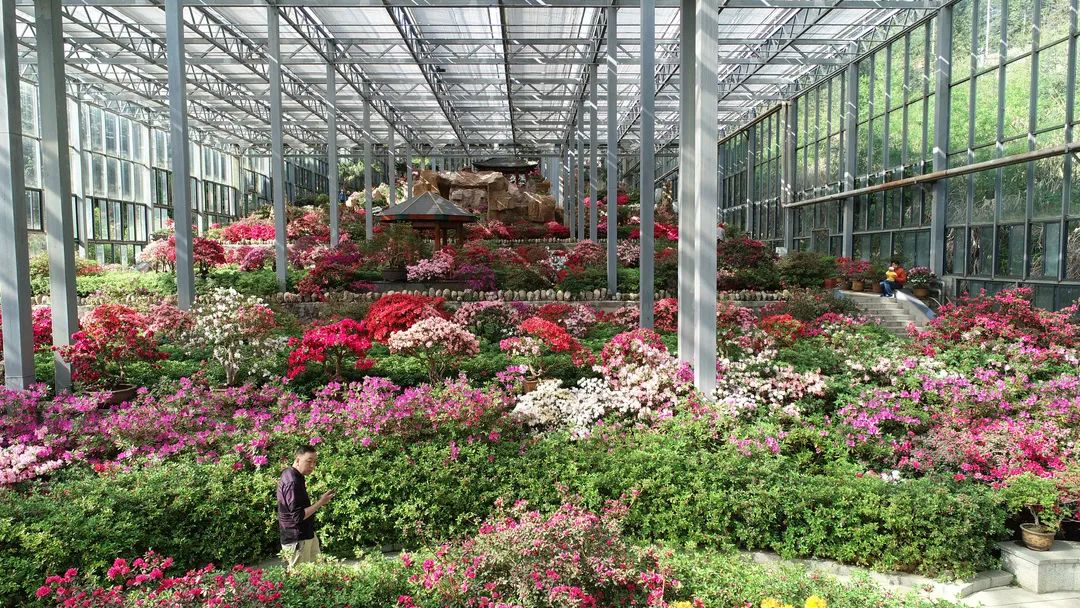 1649820607535306.jpg 微信图片_20220413105835.jpg