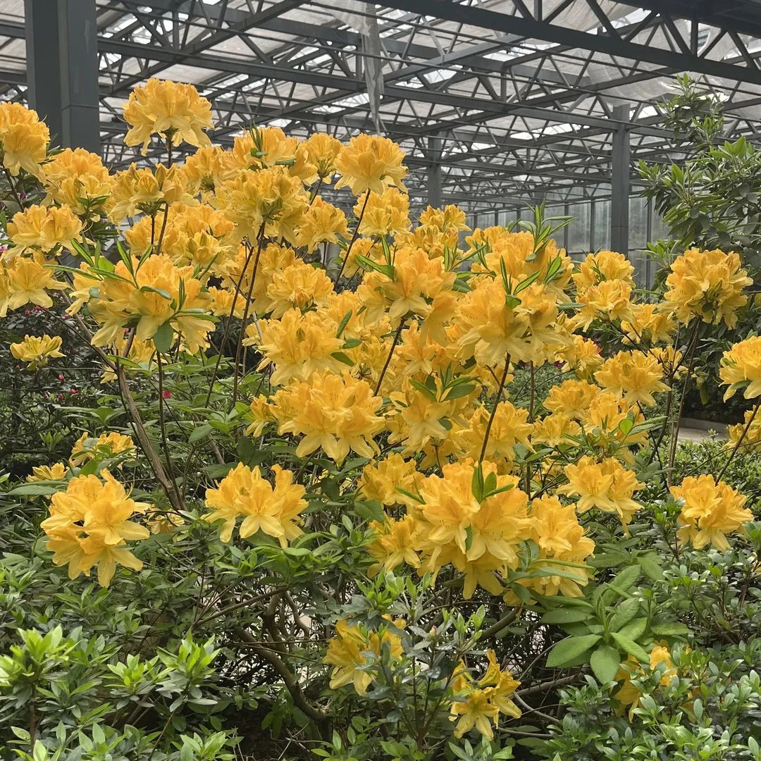 1649820631510746.jpg 微信图片_20220413105830.jpg