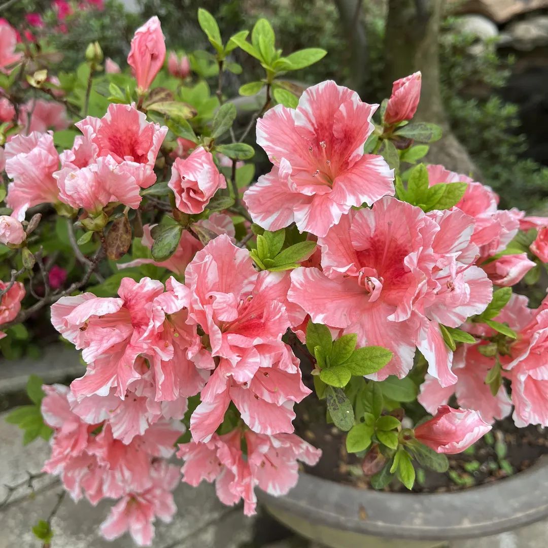 1649820639303170.jpg 微信图片_20220413105827.jpg