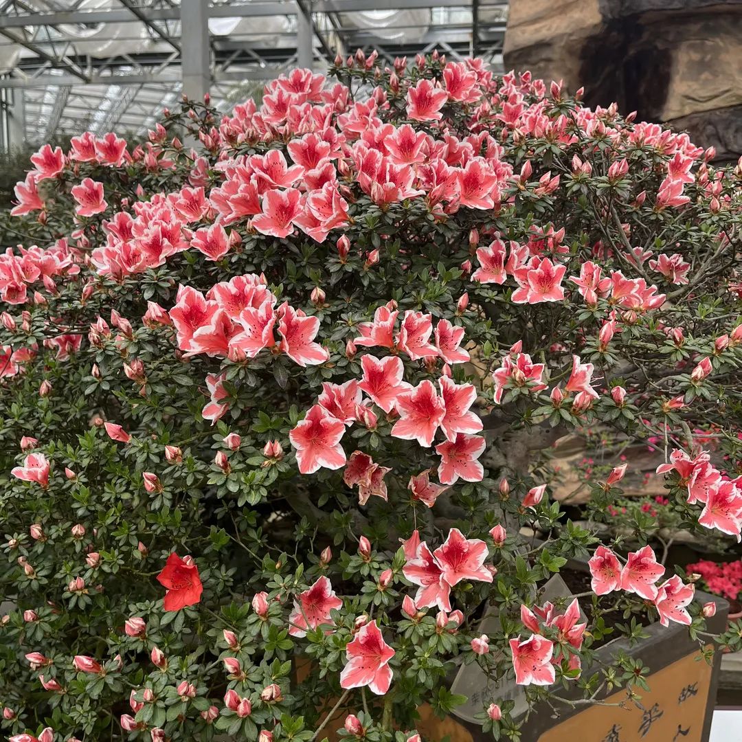 1649820652822619.jpg 微信图片_20220413105824.jpg