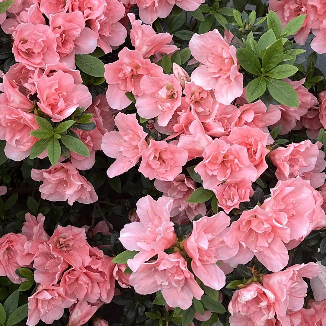 1649820663629964.jpg 微信图片_20220413105821.jpg