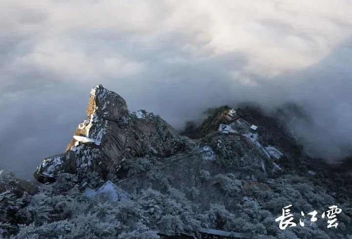 1677828345693050.jpg 微信图片_20230303152143.jpg