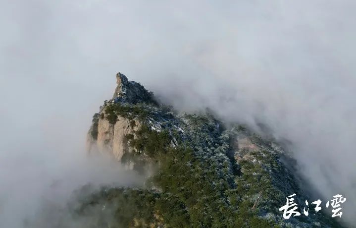 1677828371381561.jpg 微信图片_20230303152133.jpg