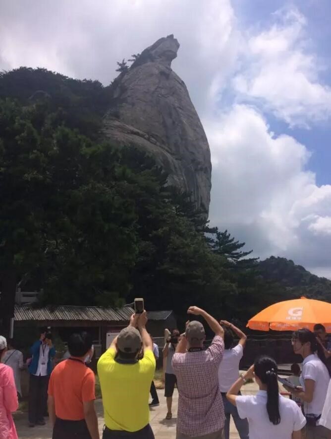 1501636179878924.jpg 6.jpg