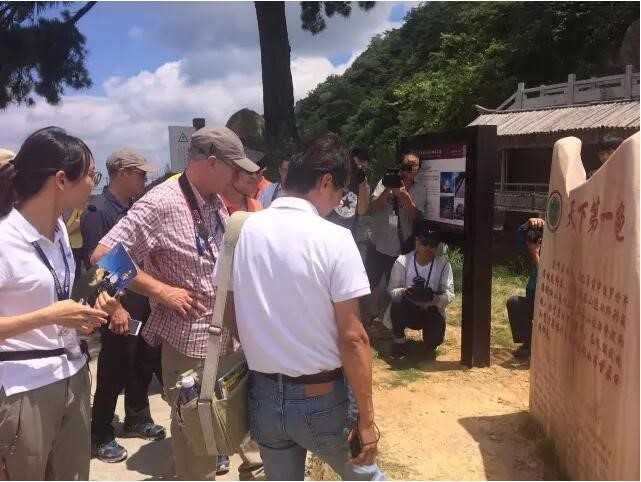 1501636228638204.jpg 7.jpg