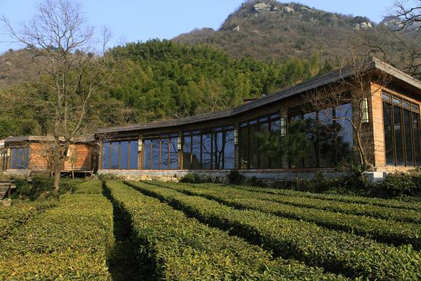 1516681889223604.jpg 微信图片_20180123122137.jpg