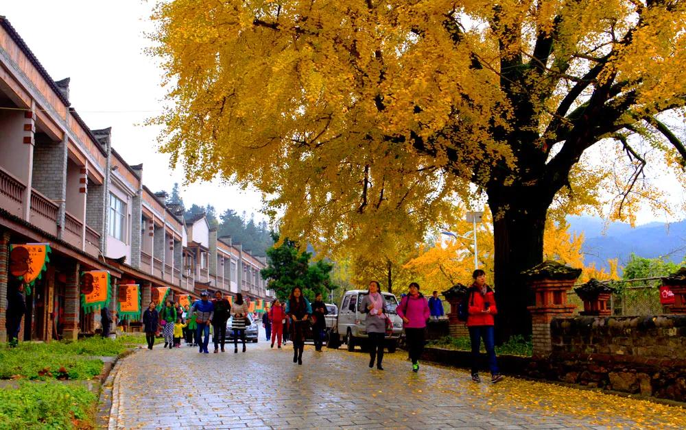 1587628548756634.jpg 微信图片_20200423155641.jpg