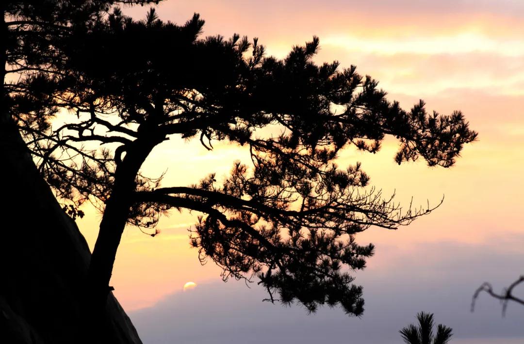 1587628588577628.jpg 微信图片_20200423155710.jpg