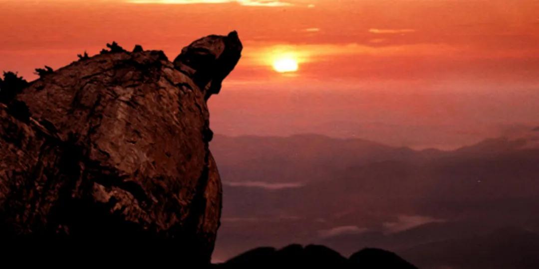 1587628656416582.jpg 微信图片_20200423155823.jpg