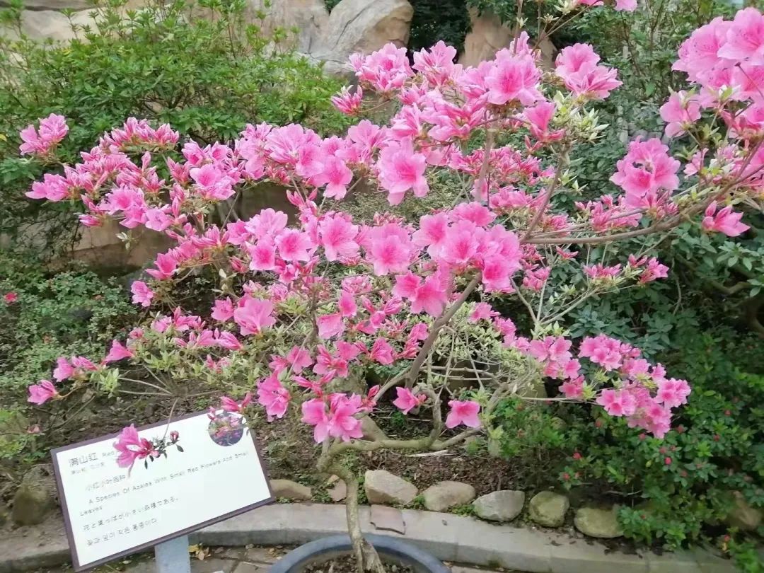 1648870844899586.jpg 微信图片_20220402112721.jpg