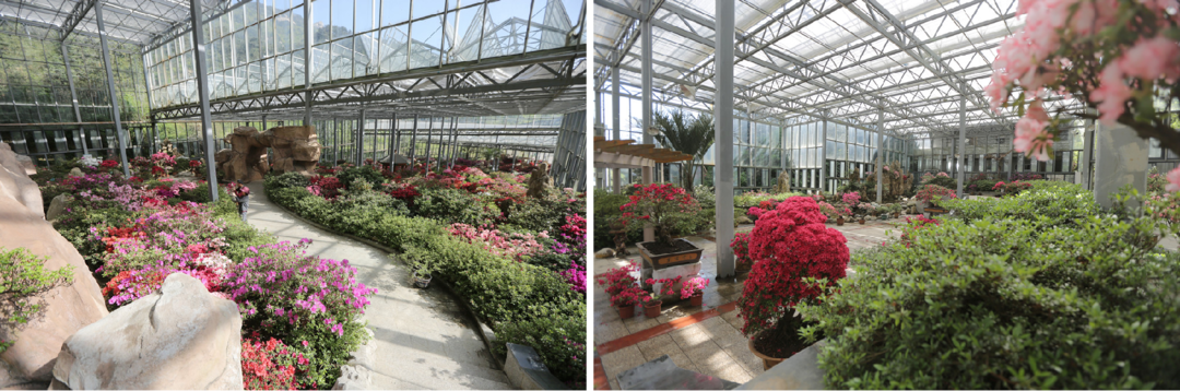 1650012041639455.png 微信图片_20220415163759.png