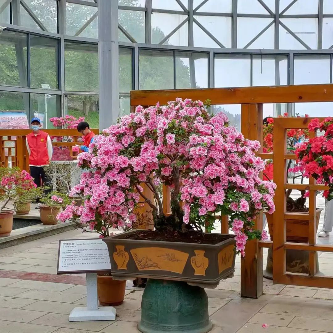 1650012049782417.jpg 微信图片_20220415163756.jpg