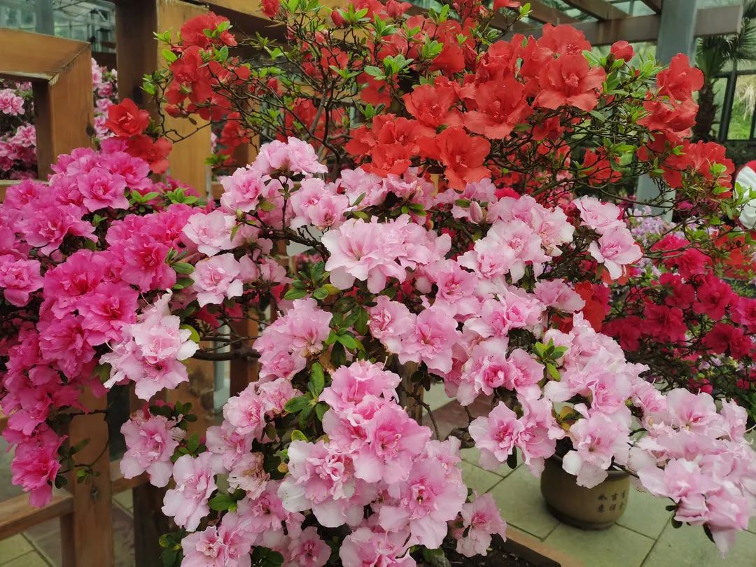 1650012067612316.jpg 微信图片_20220415163753.jpg