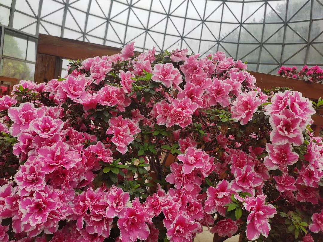 1650012072810008.jpg 微信图片_20220415163751.jpg