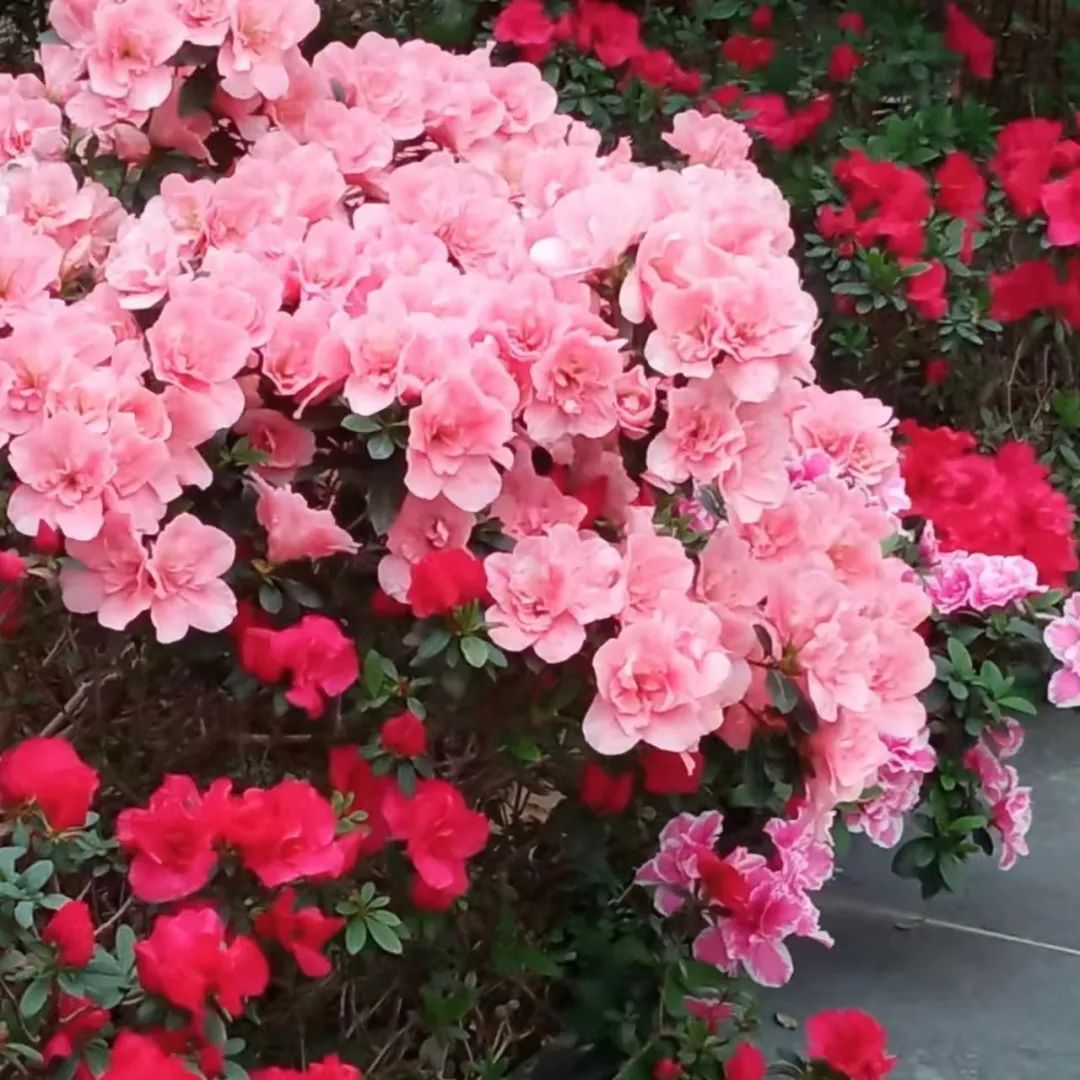 1650012079350897.jpg 微信图片_20220415163748.jpg