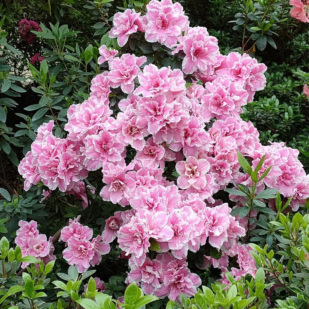 1650012086726483.jpg 微信图片_20220415163745.jpg