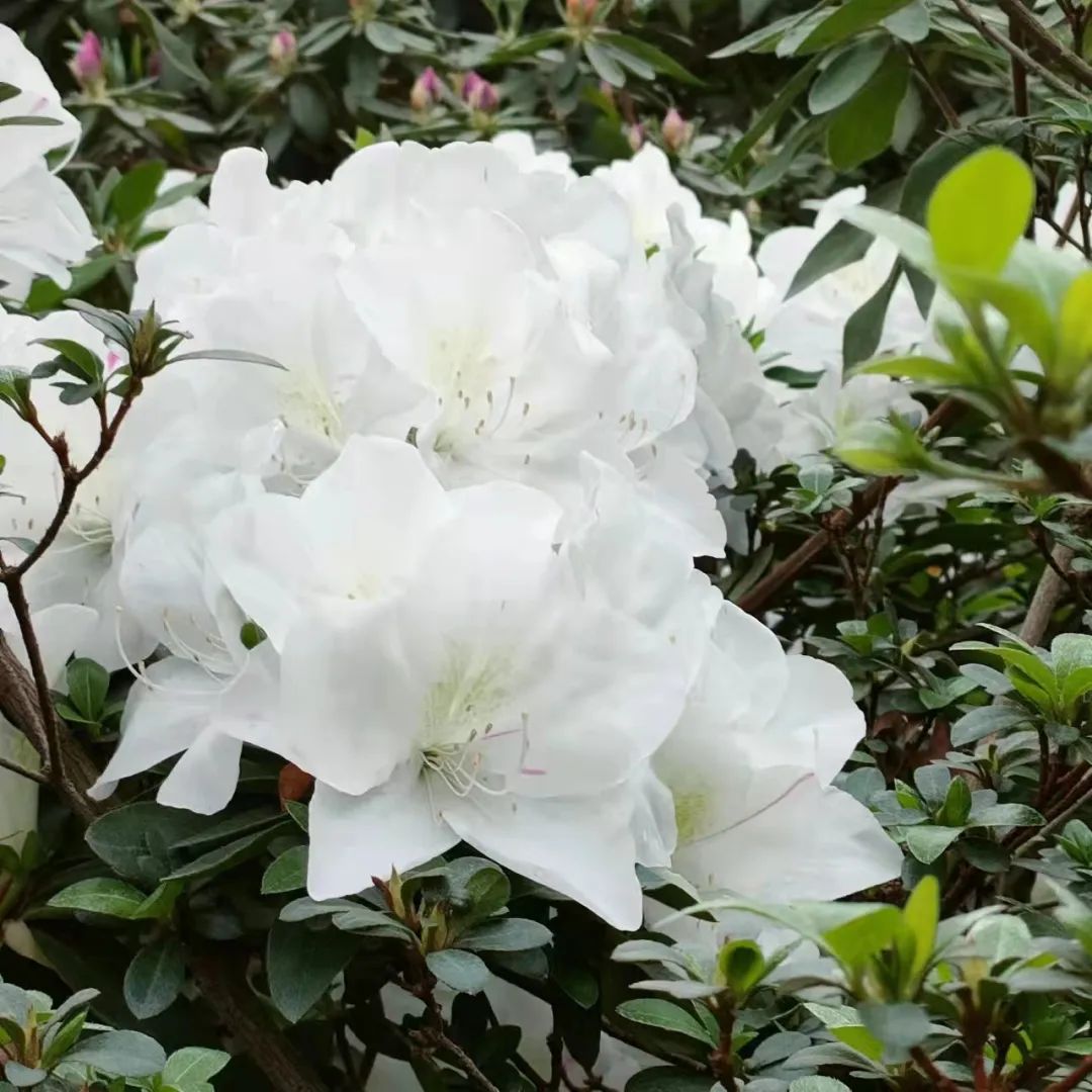 1650012092153097.jpg 微信图片_20220415163742.jpg