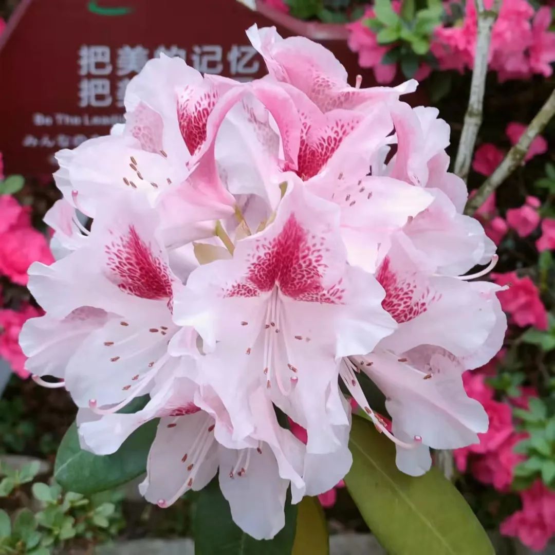 1650012100856425.jpg 微信图片_20220415163739.jpg