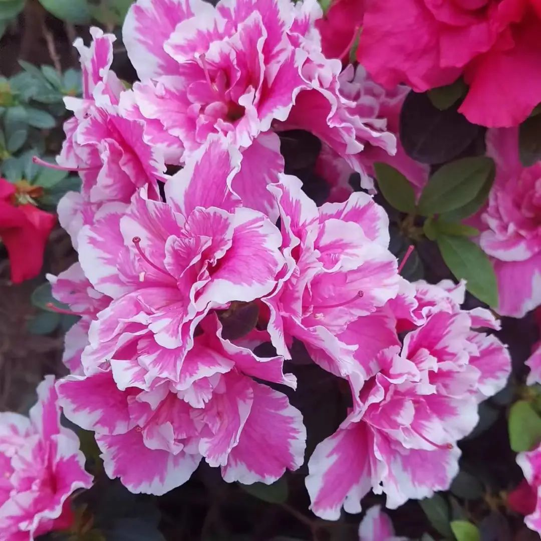 1650012115786948.jpg 微信图片_20220415163732.jpg