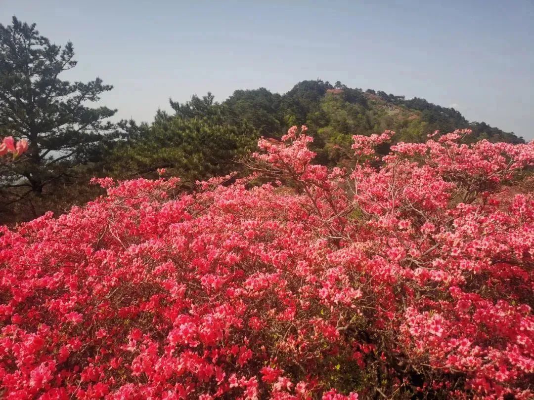 1651633817947988.jpg 16.jpg