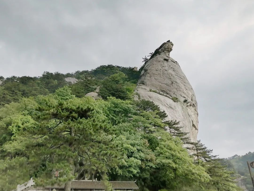 1655002636924547.jpg 微信图片_20220612104933.jpg