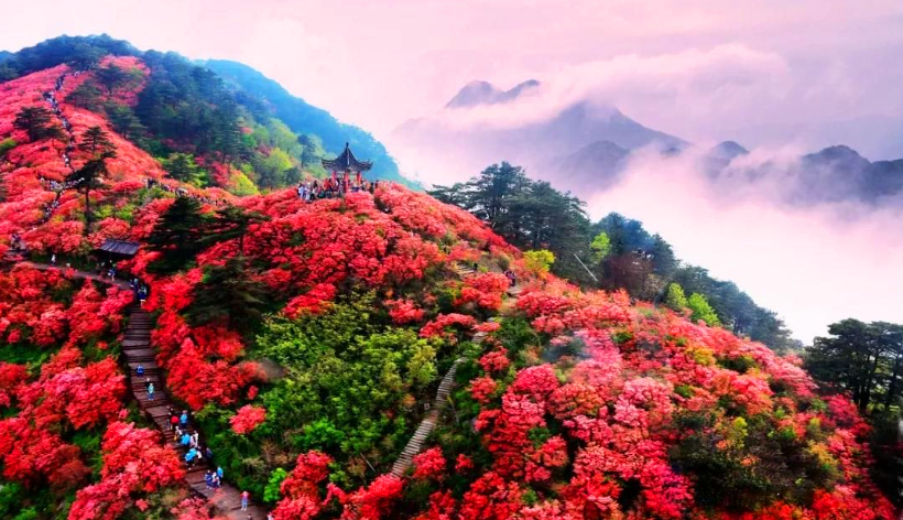 1680766360132567.png 微信图片_20230406153214.png