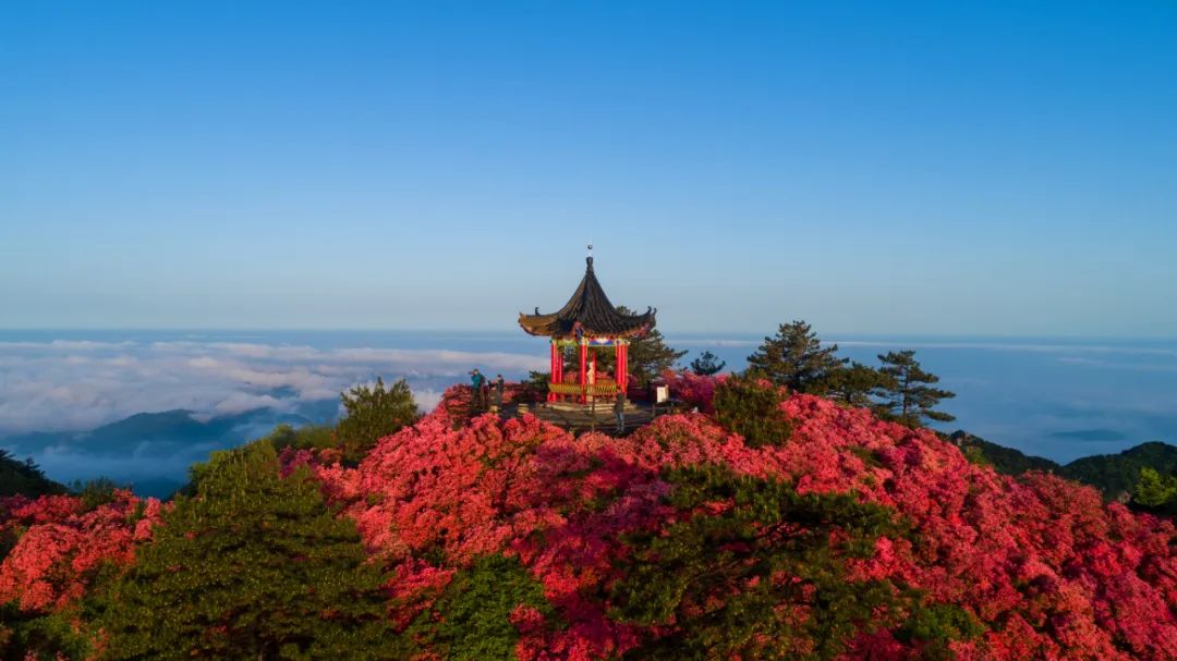 1680766376888495.jpg 微信图片_20230406153216.jpg