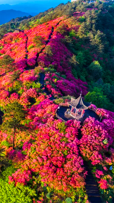 1680766384645973.png 微信图片_20230406153219.png