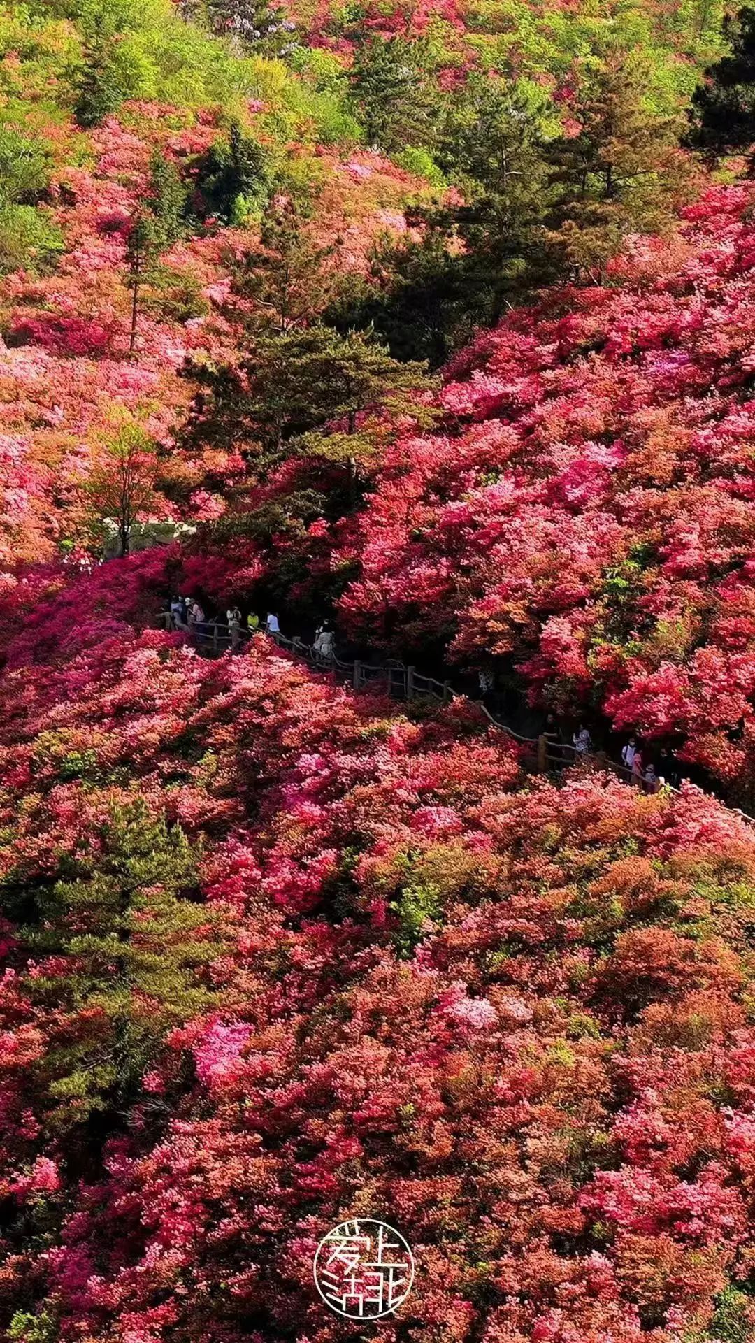 1680766420788563.jpg 微信图片_20230406153222.jpg