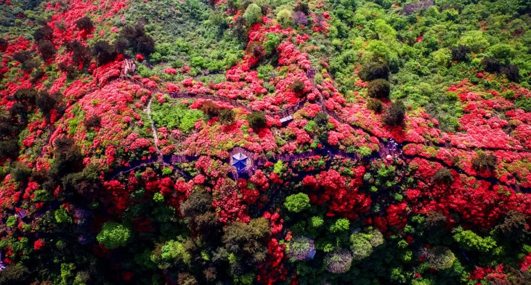 1680926574629005.jpg 640 (3).jpg