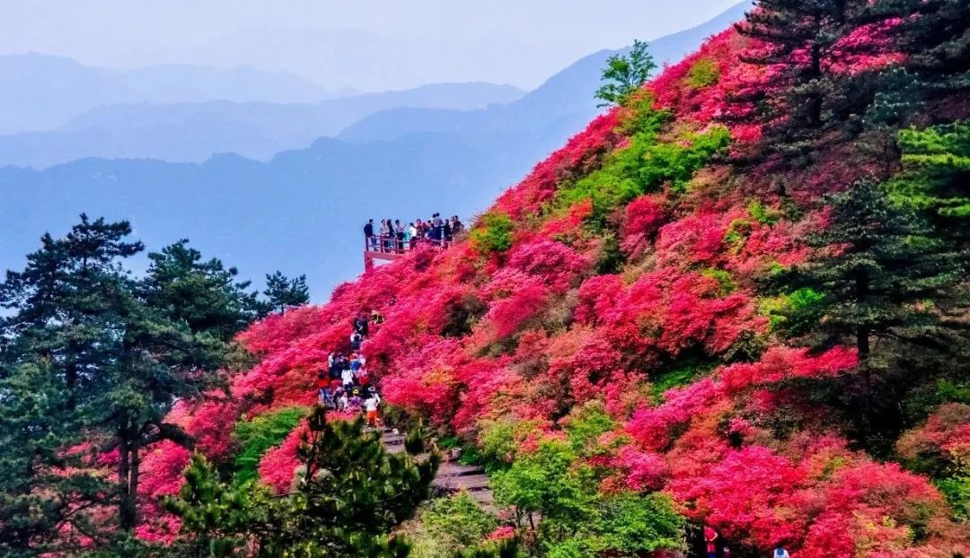 1680926585309393.jpg 640 (4).jpg