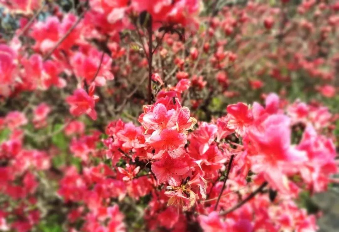 1680926601596594.jpg 640 (5).jpg