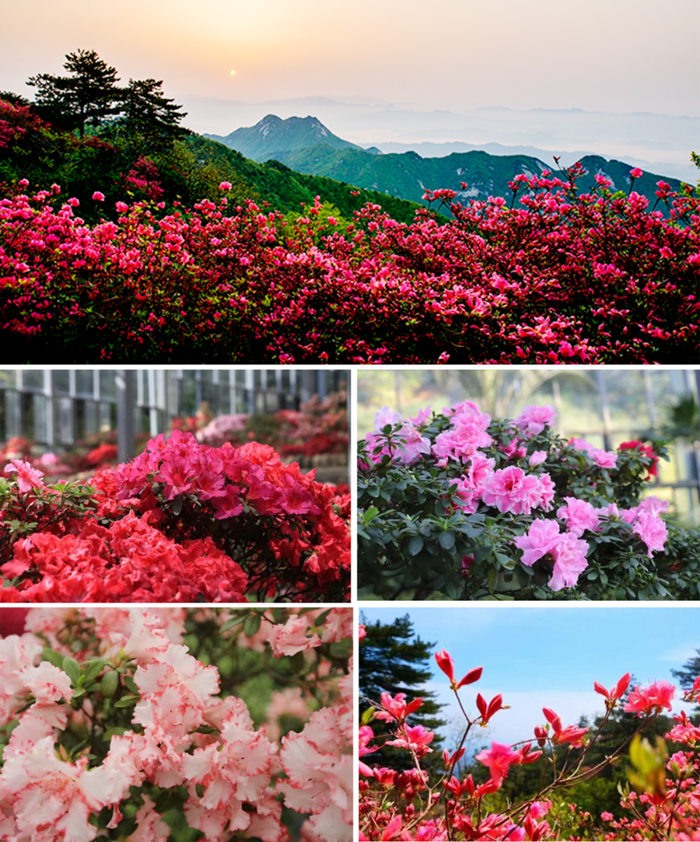 1680926761437558.png 640_副本.png