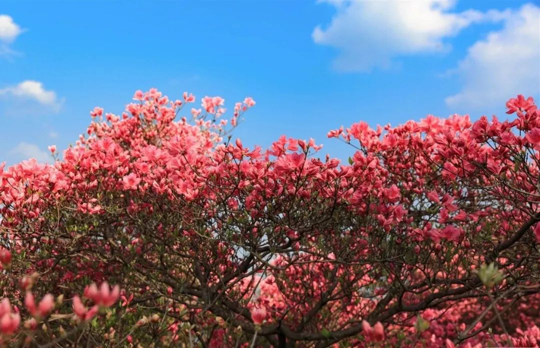 1680926824520241.jpg 640 (6).jpg