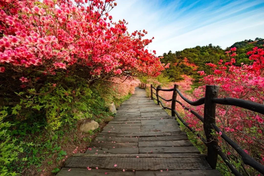 1680926835538985.jpg 640 (7).jpg