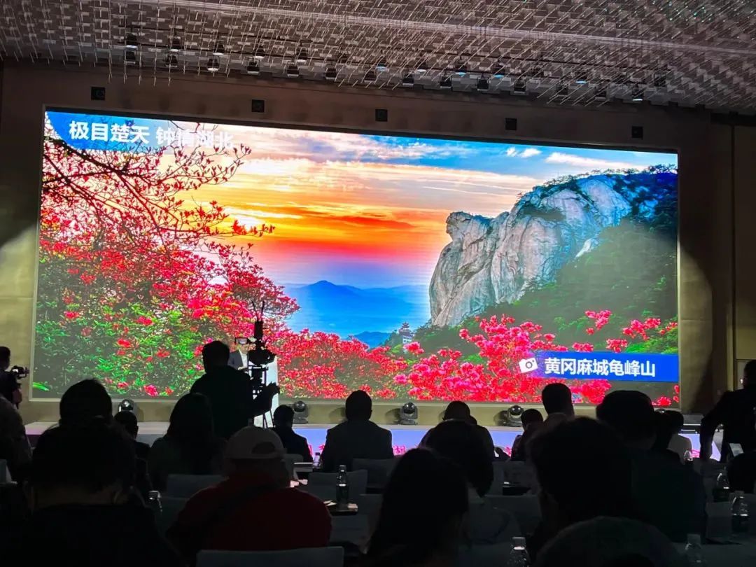 1680933443515566.jpg 015.jpg