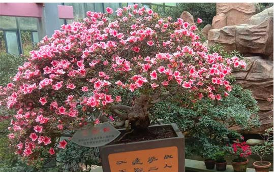 1681452613764125.png 图片5.png