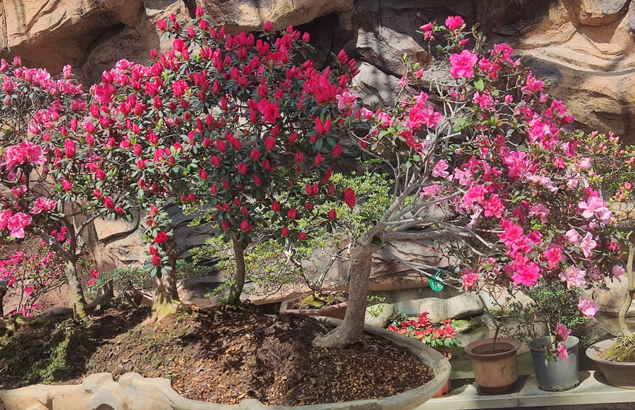 1681452684449278.png 图片4_副本.png