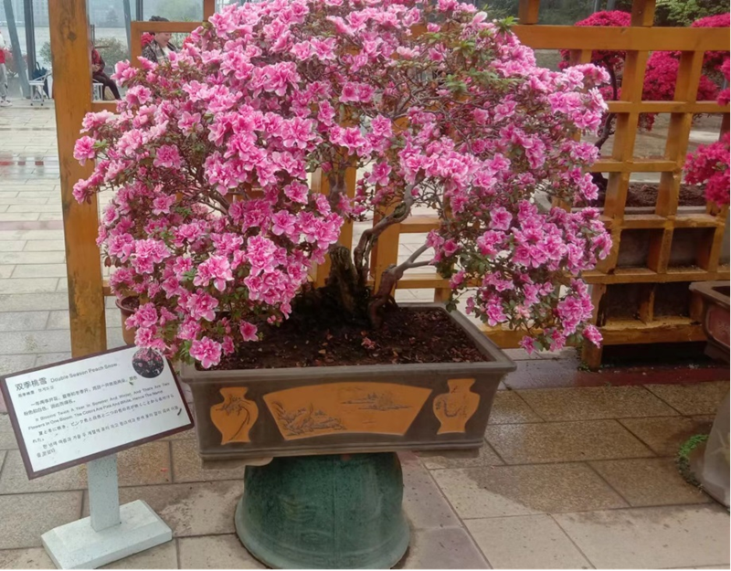 1681452723922864.png 图片3_副本.png