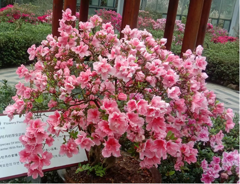 1681452757277199.png 图片2_副本.png